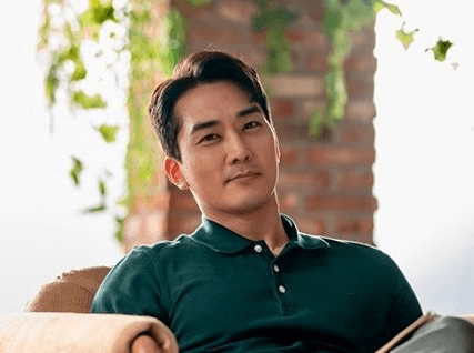 반영구 눈썹 문신 제거, 색소별 접근과 회복 과정